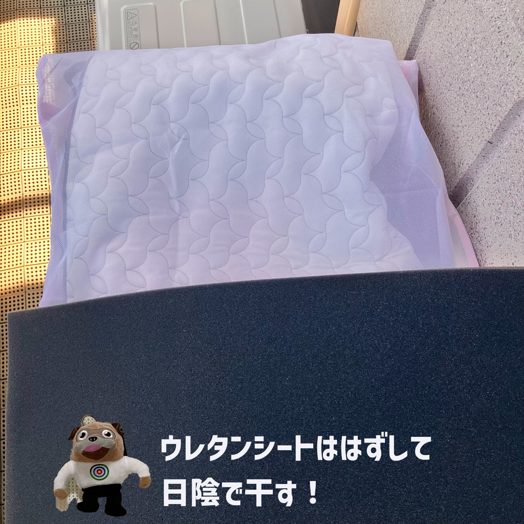 ユーザー写真