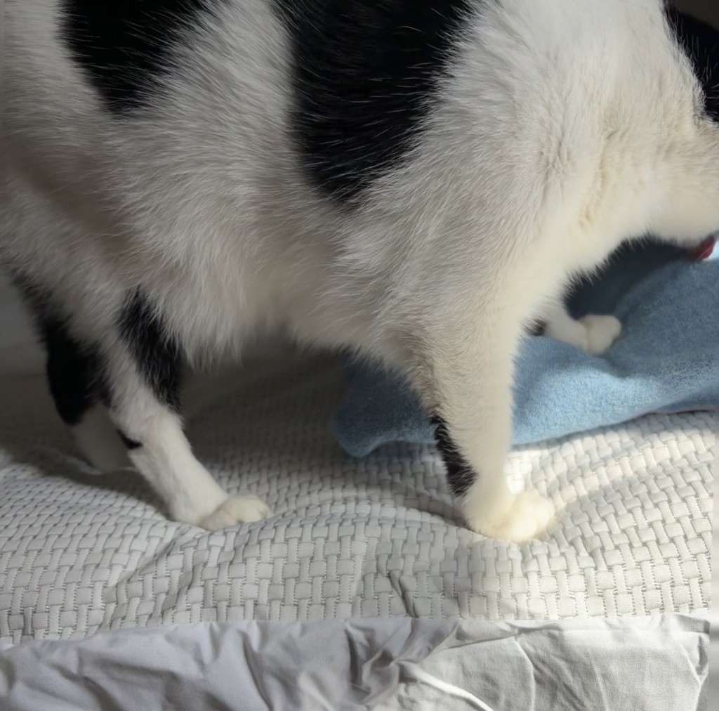 ユーザー写真