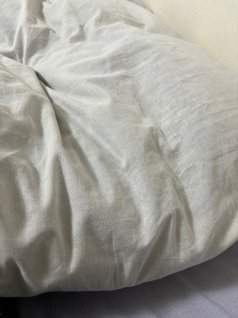 投稿写真