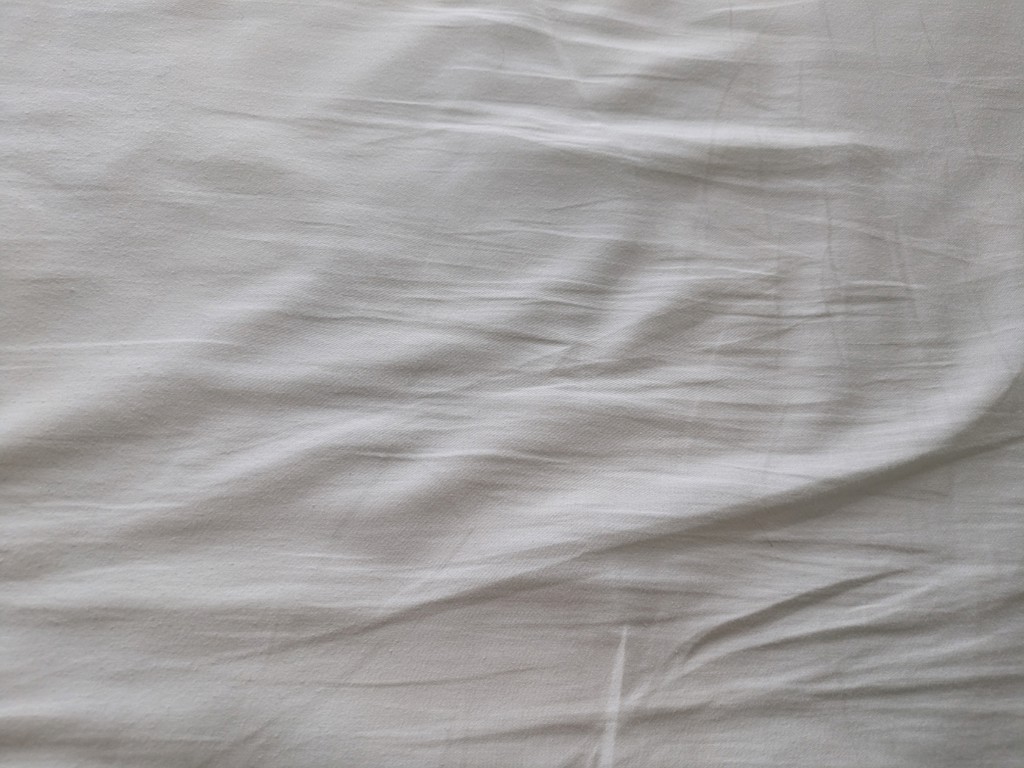投稿写真