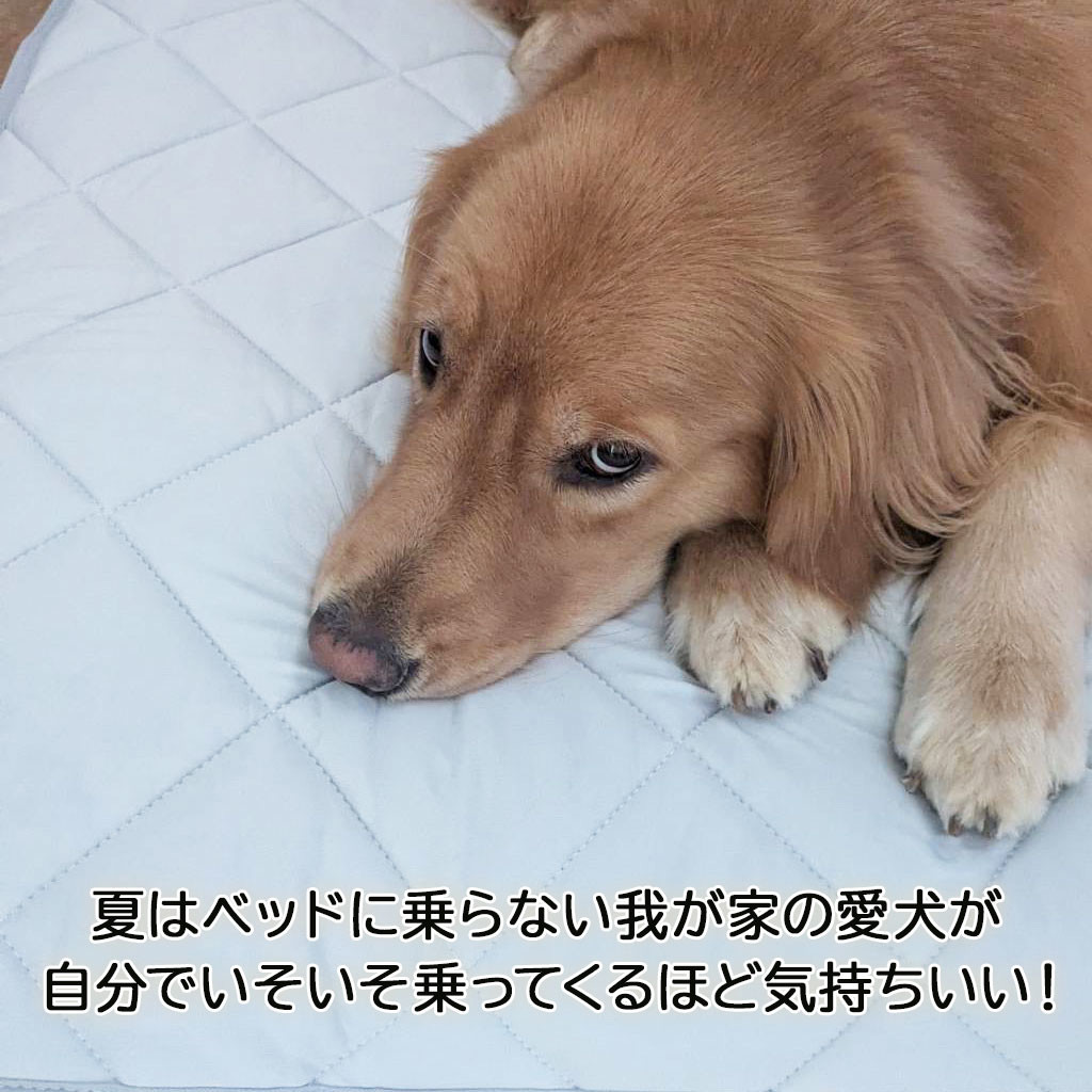ユーザー写真