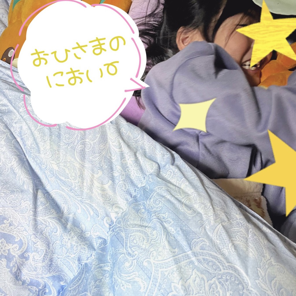西川ストア限定 ふとんセット ツインフォームネオ&ダックダウン 西川ストア限定 ふとんセット ツインフォームネオ&ダックダウン