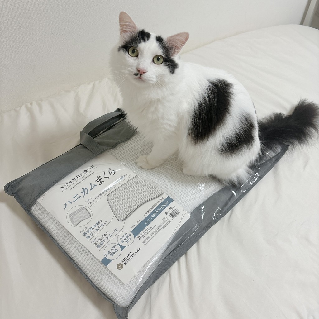 ユーザー写真