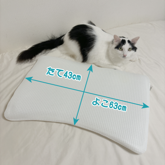 ユーザー写真