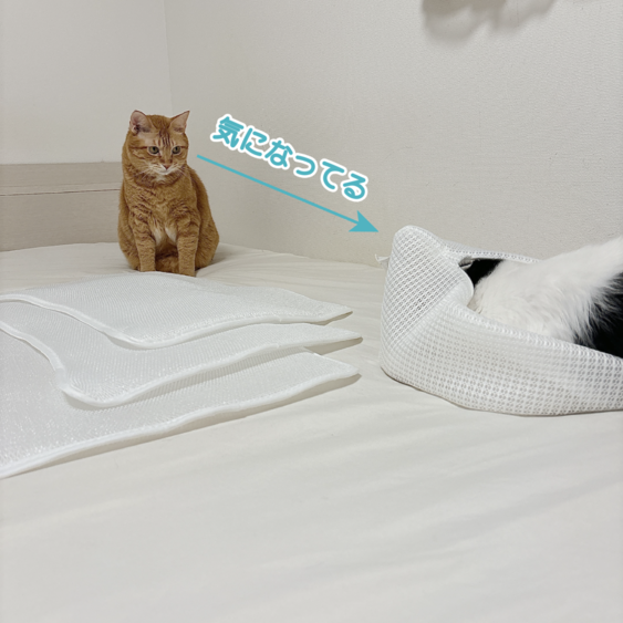 ユーザー写真