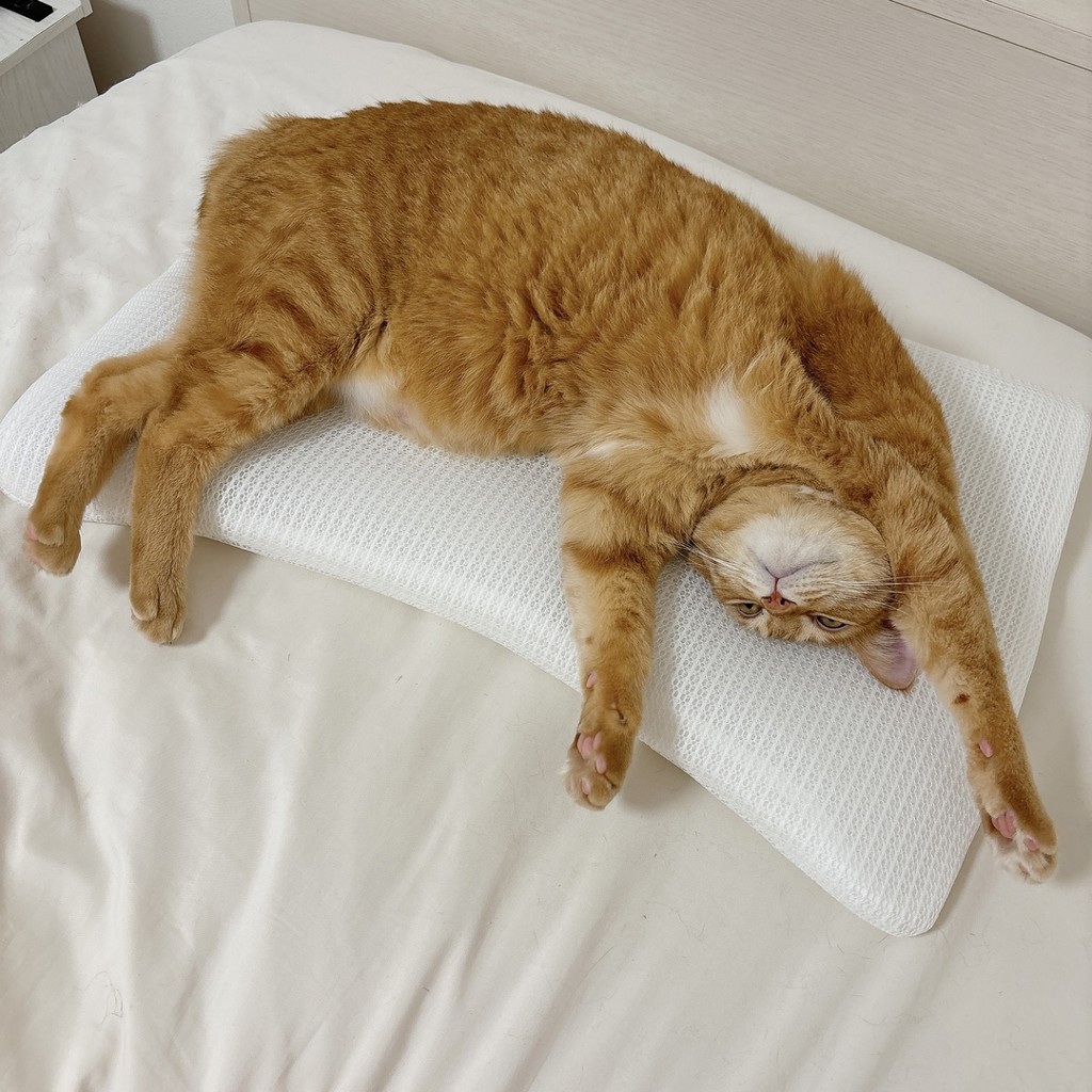 ユーザー写真