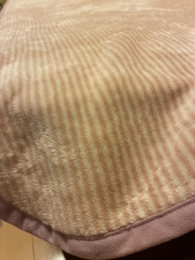 投稿写真