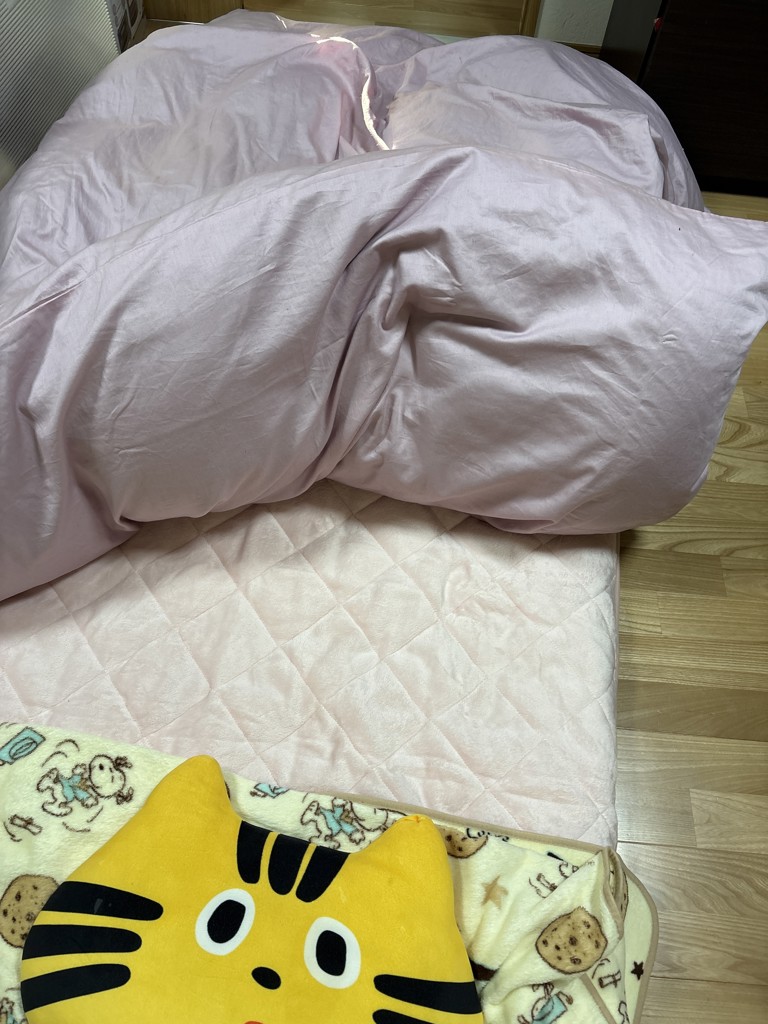 投稿写真