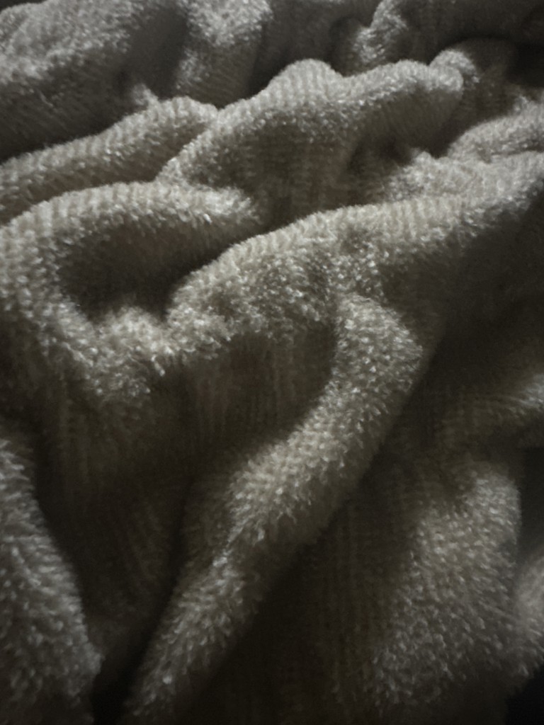 投稿写真