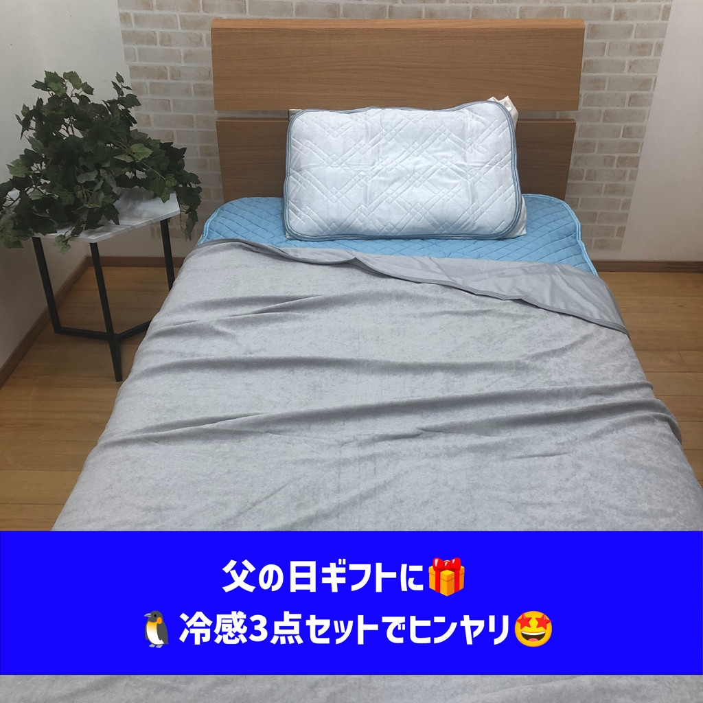 3点セット特価】 暑がりさんにおすすめセット(接触冷感敷き 3点セット特価】 暑がりさんにおすすめセット(接触冷感敷き
