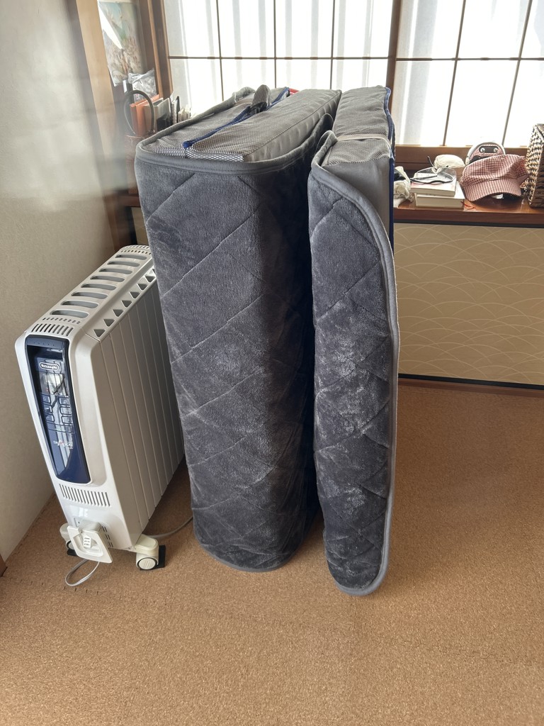 投稿写真