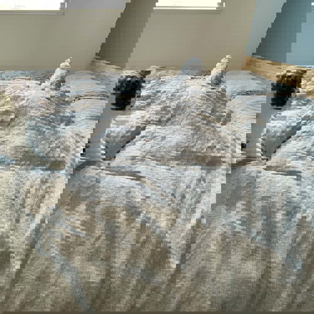 ユーザー写真