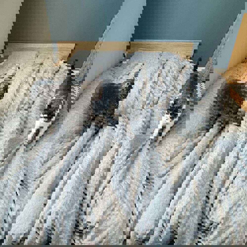 ユーザー写真
