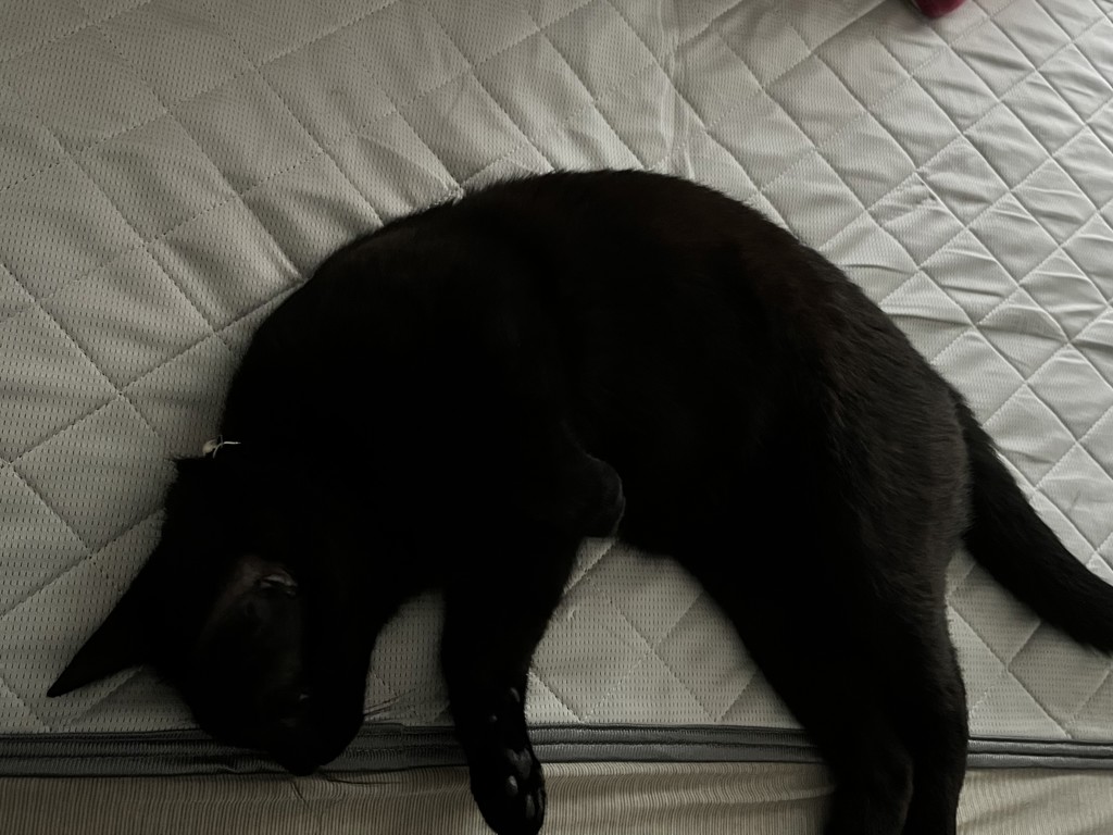 ユーザー写真