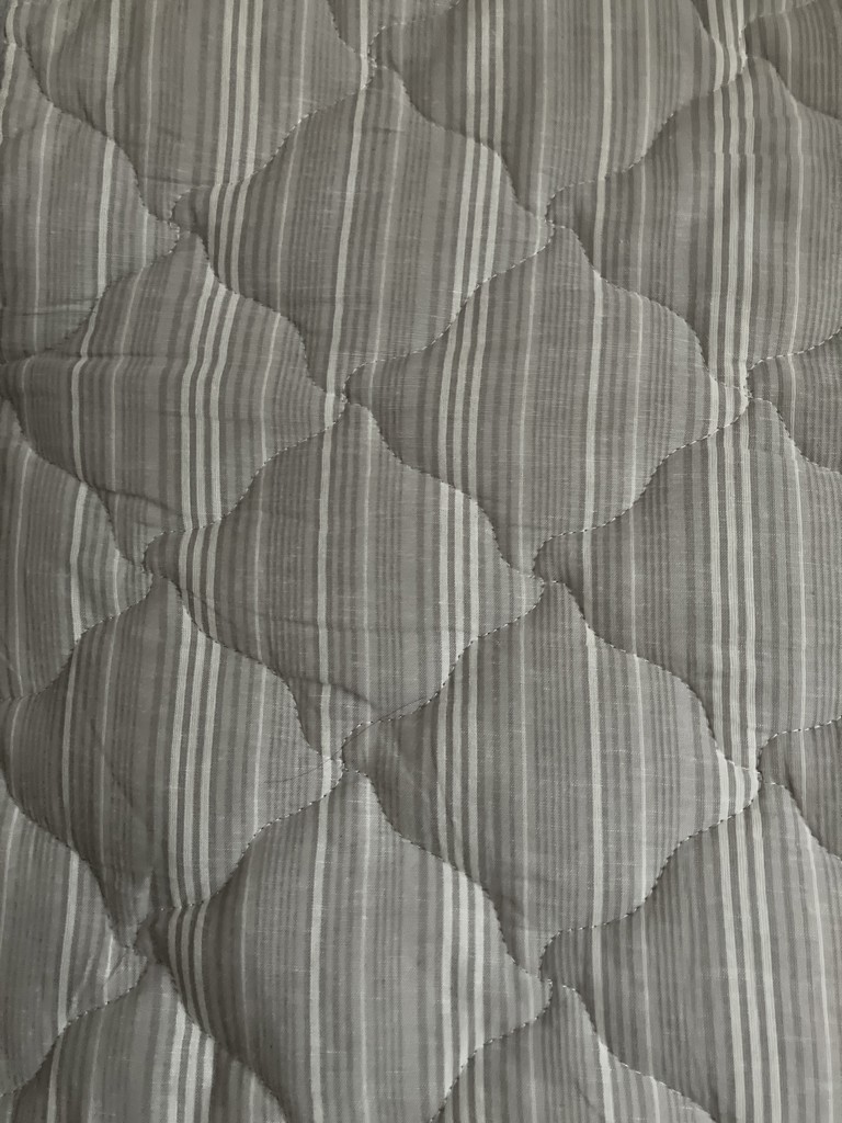 投稿写真