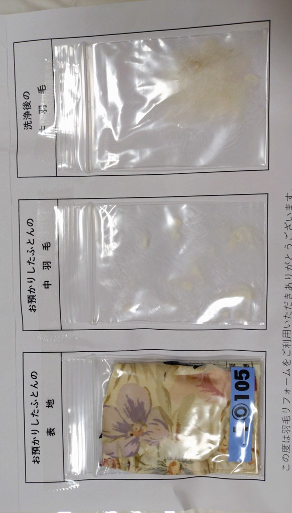 投稿写真