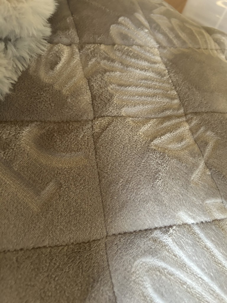 投稿写真