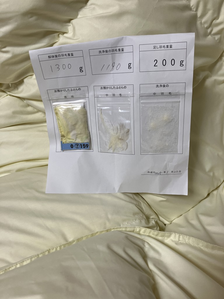 投稿写真