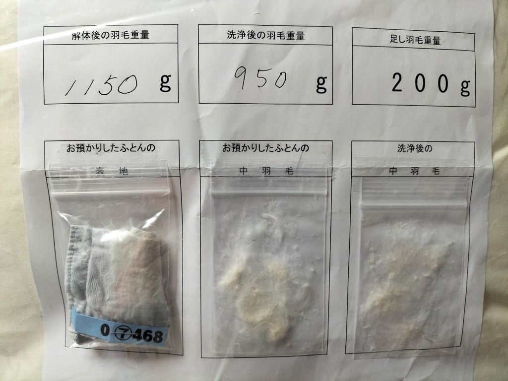 投稿写真