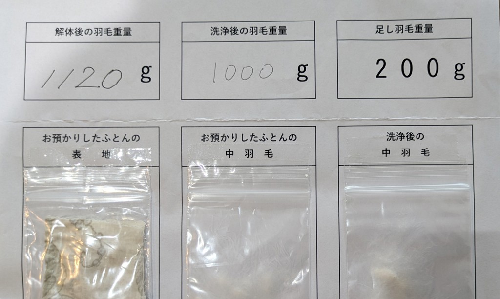 投稿写真