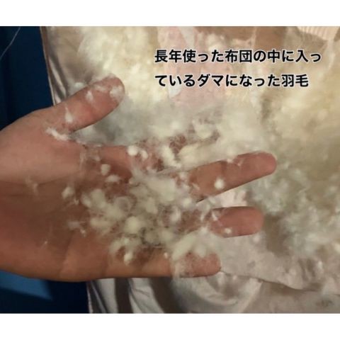 ユーザー写真