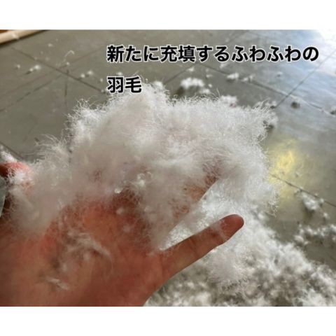 ユーザー写真