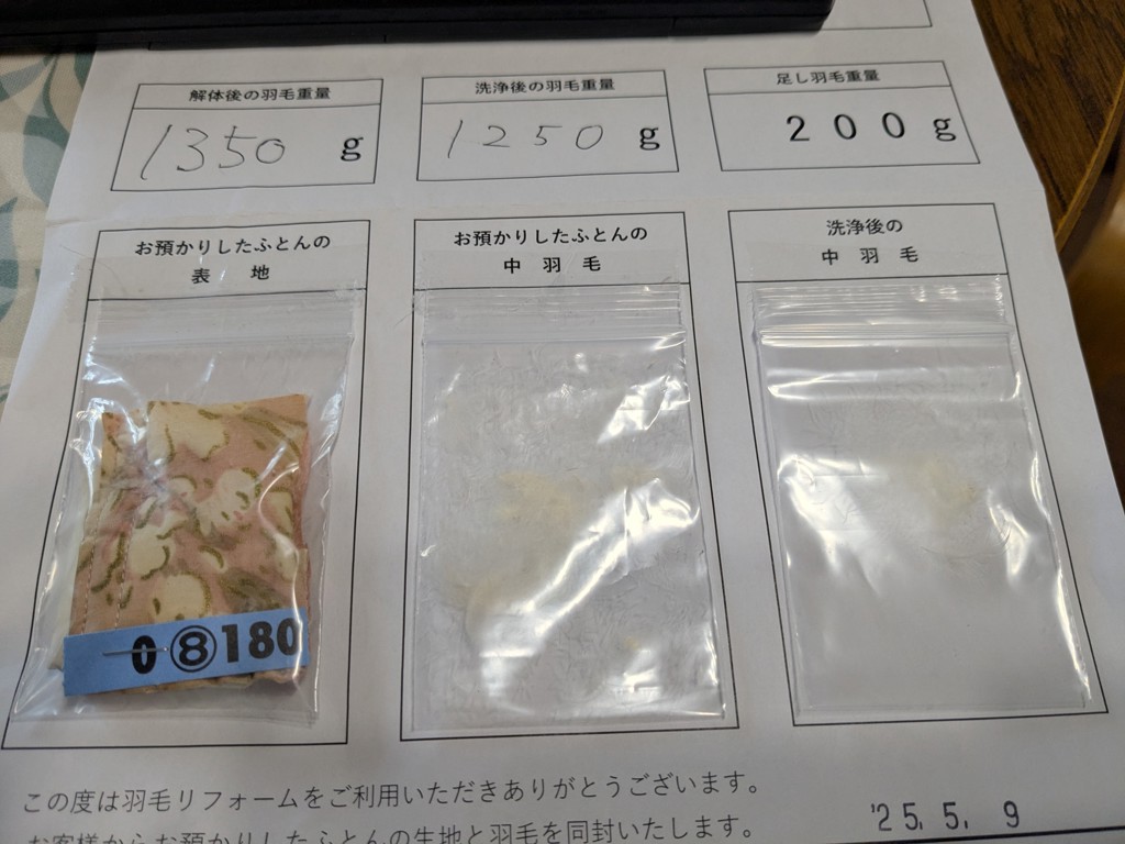 投稿写真