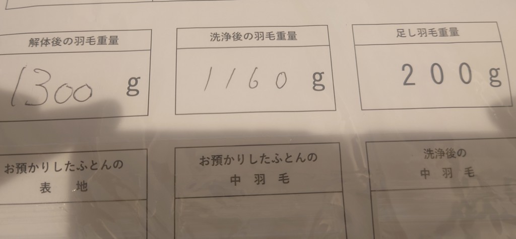 投稿写真