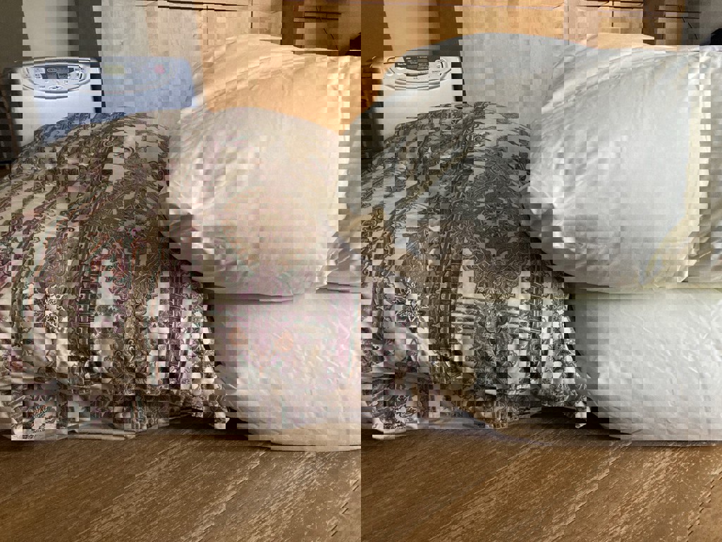投稿写真