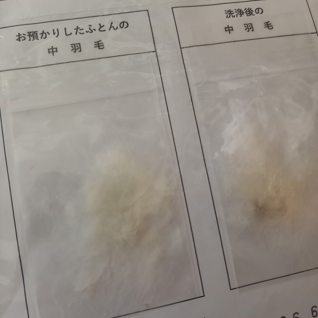 ユーザー写真