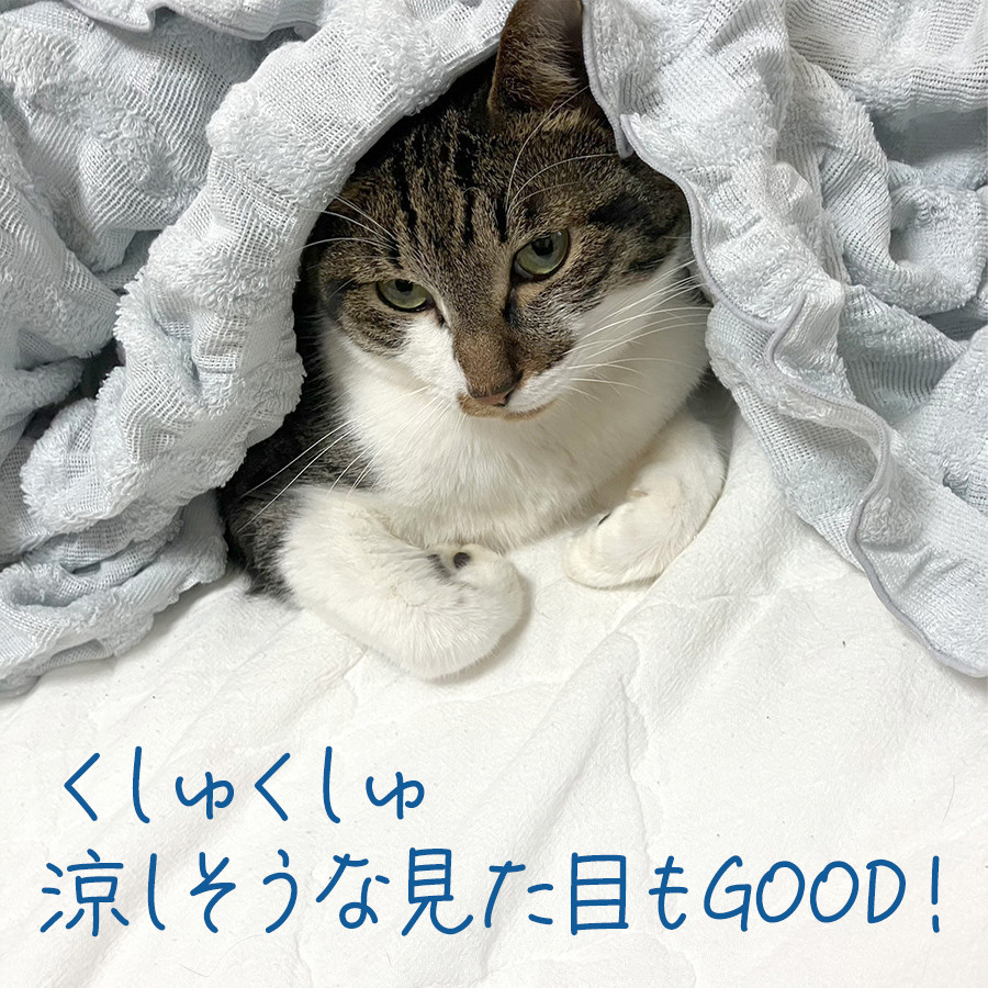 ユーザー写真