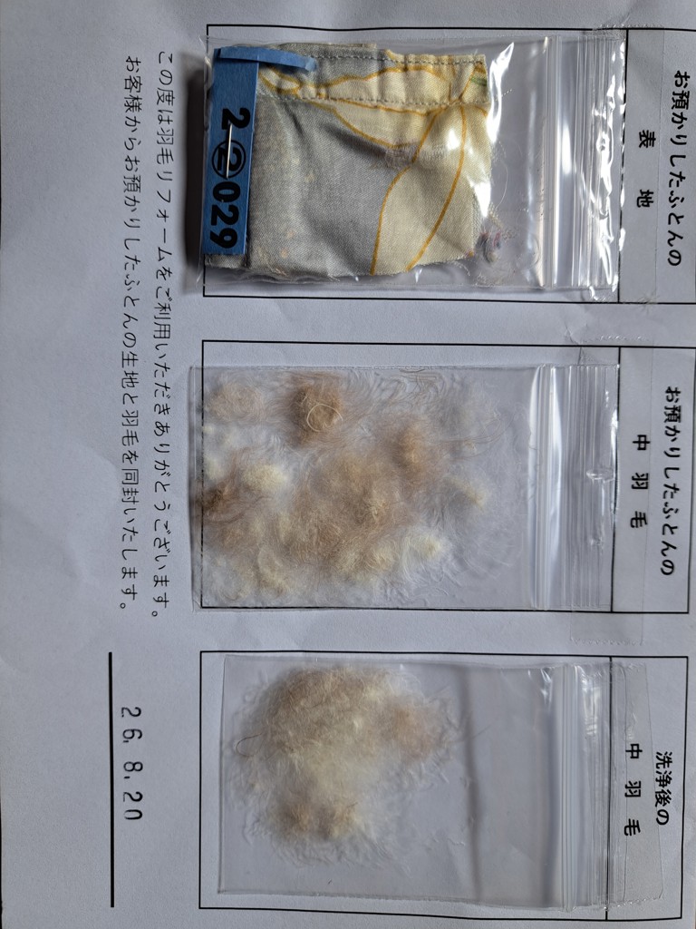 投稿写真