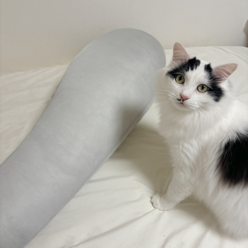 ユーザー写真