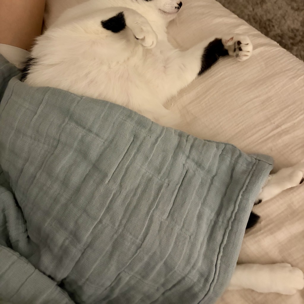 ユーザー写真
