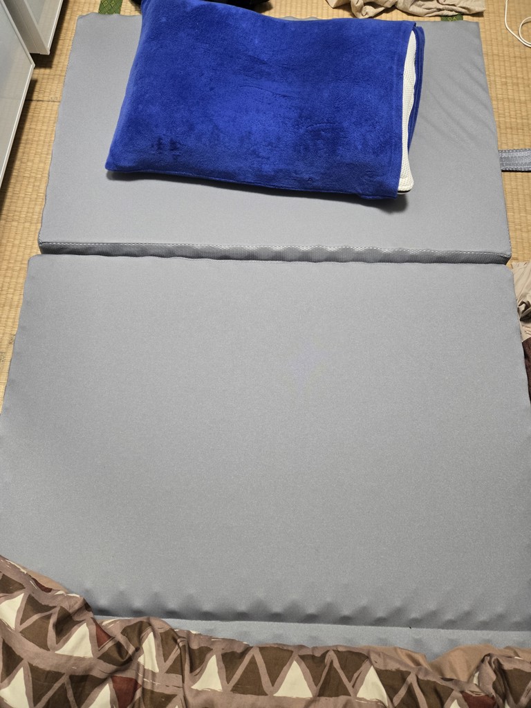 投稿写真