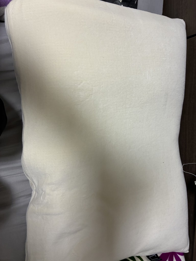 投稿写真