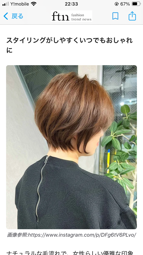 投稿写真