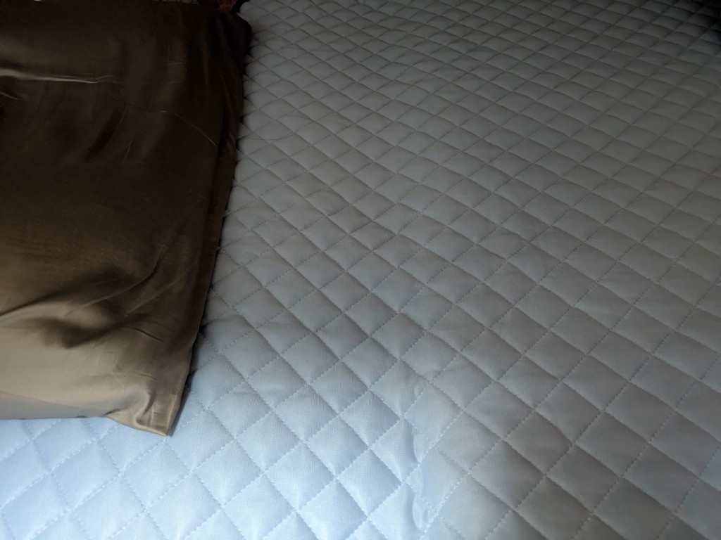 投稿写真