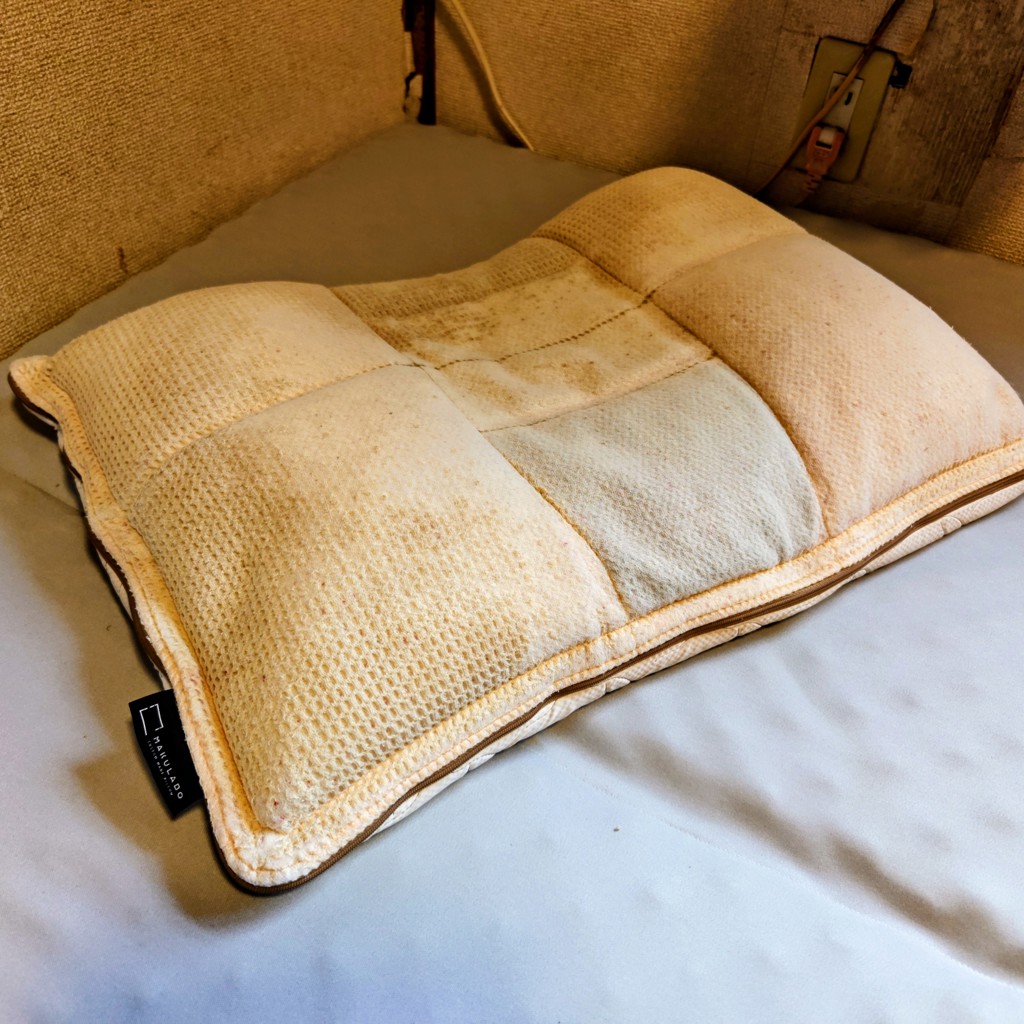 投稿写真