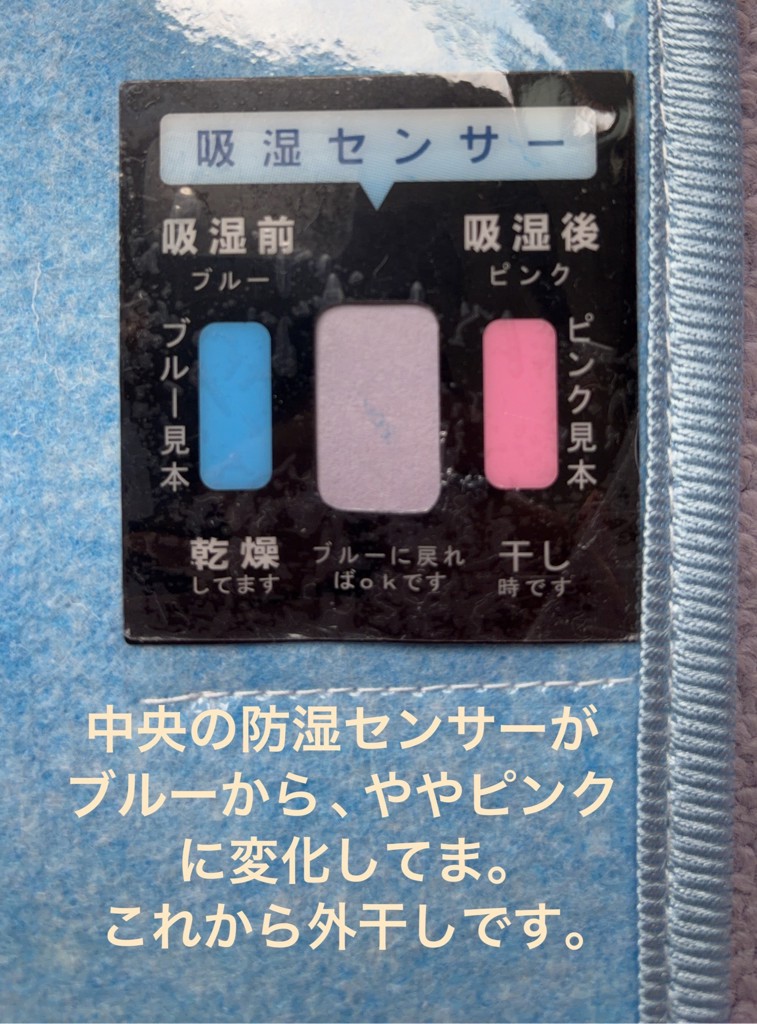 投稿写真