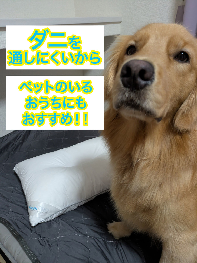 ユーザー写真