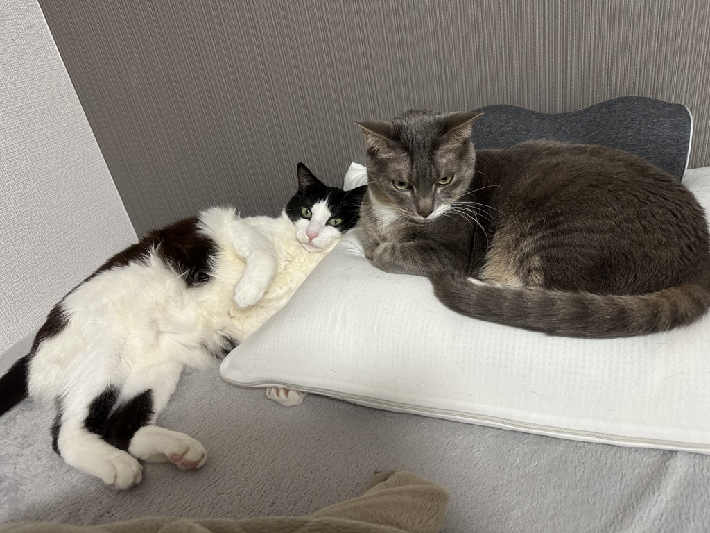 投稿写真