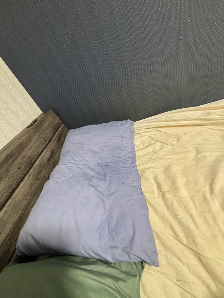 投稿写真