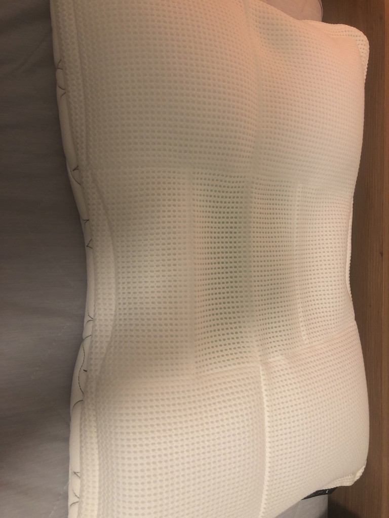 投稿写真
