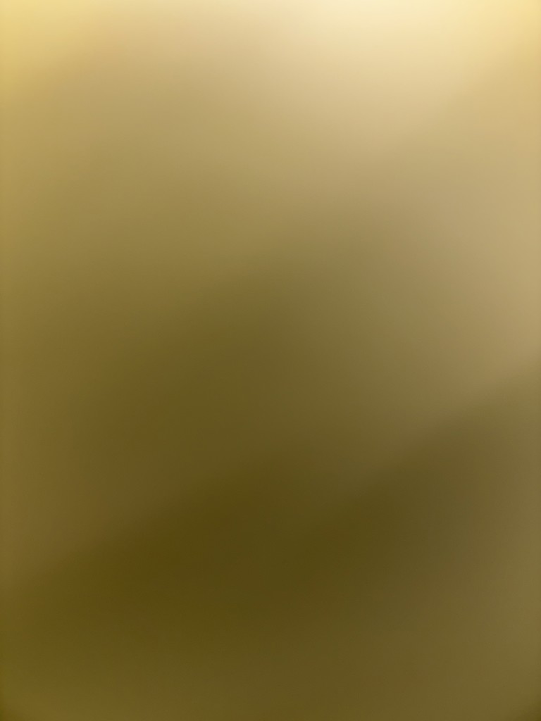ユーザー写真