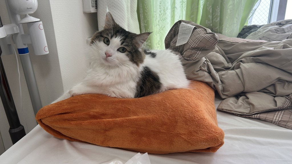 ユーザー写真