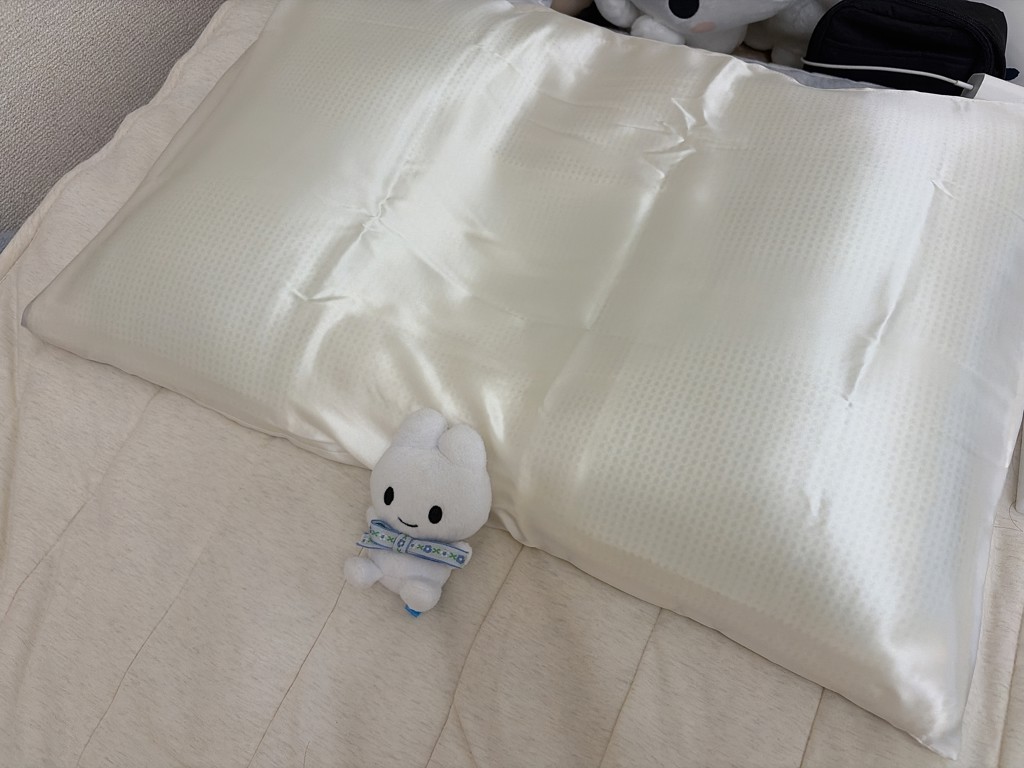 投稿写真