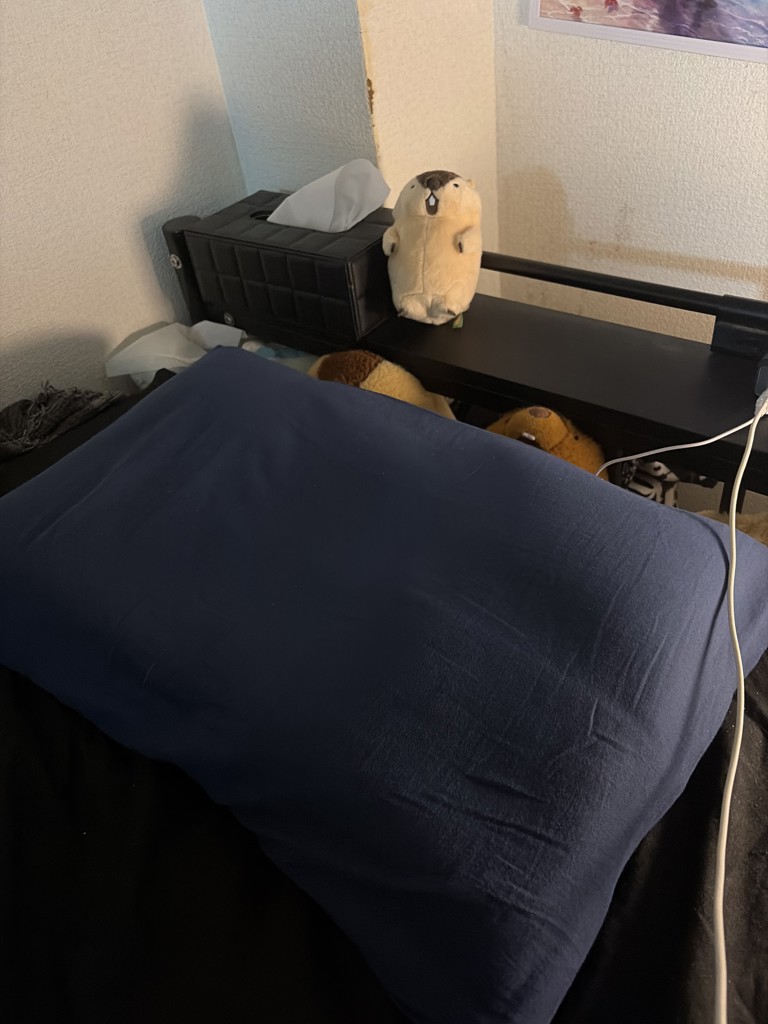 投稿写真