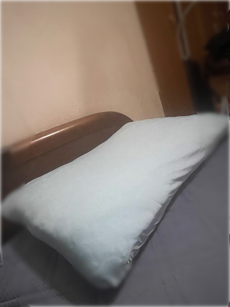 投稿写真