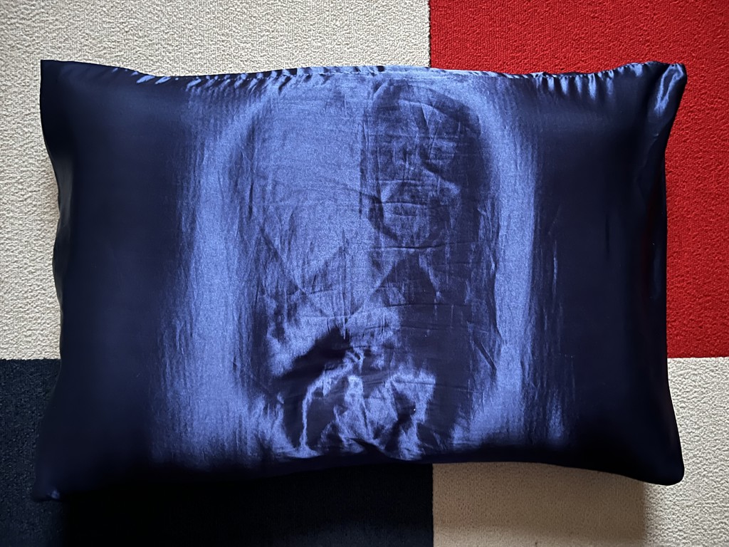投稿写真